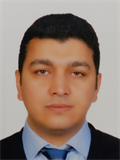 Prof. Dr. ONUR BURAK DURSUN